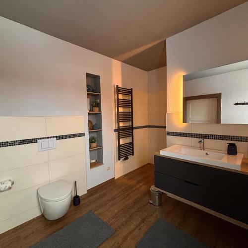 a bathroom with a sink and a toilet and a mirror at Ferienwohnung Am Schleizer Dreieck in Schleiz