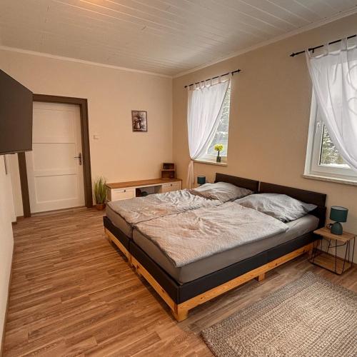 a bedroom with a bed and two windows at Ferienwohnung Am Schleizer Dreieck in Schleiz