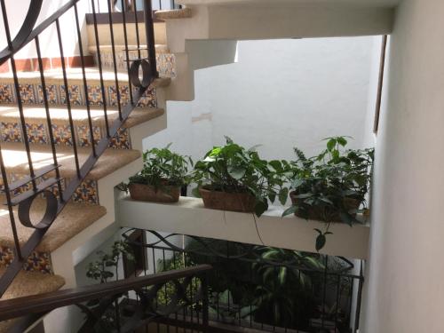 a staircase with potted plants on it at Hotel Grand Maria in San Cristóbal de Las Casas