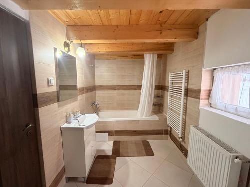 a bathroom with a sink and a bath tub at Medelore Cottage in Medişoru Mare