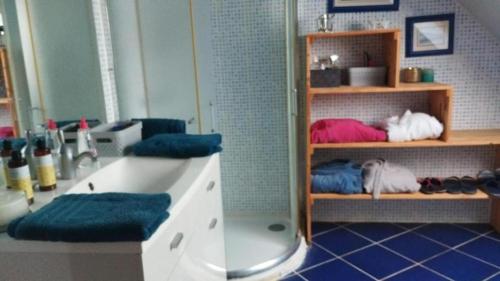 a bathroom with a sink and a shelf with towels at Nuit etoile et jacuzzi prive in Pleuven