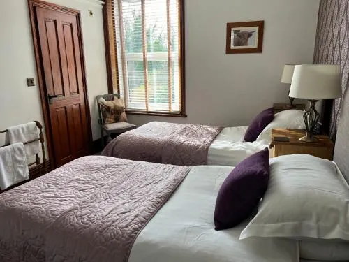 Overdale Guesthouse and Free Parking photo 3