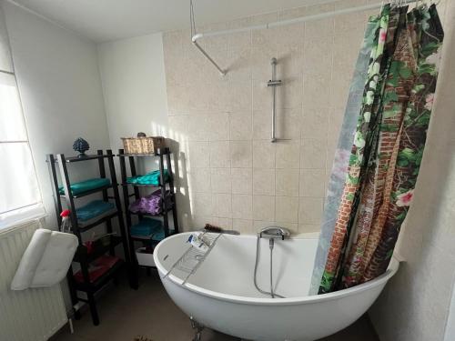 a bath tub in a bathroom with a shower at Casa Leopardo in Hasselt