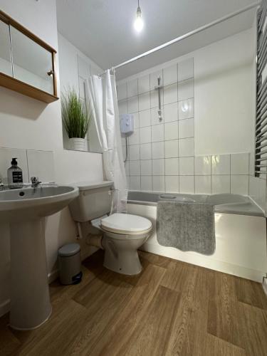 a bathroom with a toilet and a sink and a shower at The Garden Haven in Cheddar