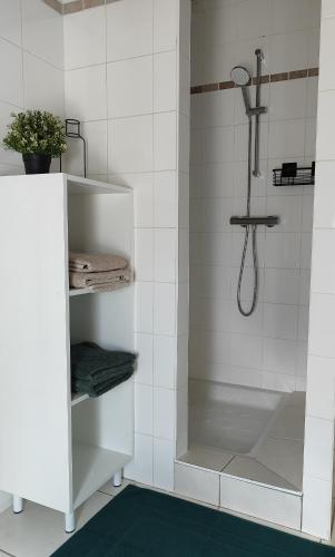 a bathroom with a shower with white tiles at L'Orée du Puy in Les Herbiers