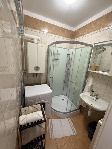 a bathroom with a shower and a toilet and a sink at GINGER apartman in Hajdúszoboszló