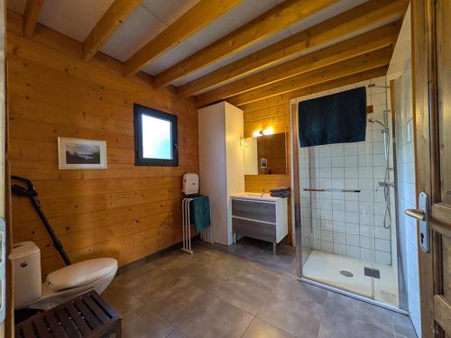 a bathroom with a shower and a toilet and a sink at Aux Gîtes d'Orient in Géraudot