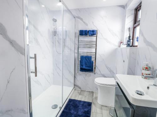 a bathroom with a shower and a toilet and a sink at Aloe Lodge in Diss