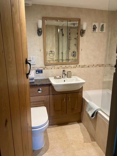 a bathroom with a sink and a toilet and a mirror at Pear Tree Barn - Amazing Country views - Pet friendly - Balcony in Newquay