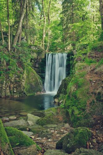 a waterfall in the middle of a forest at Górski Domek Nad Wodospadem in Jagniątków