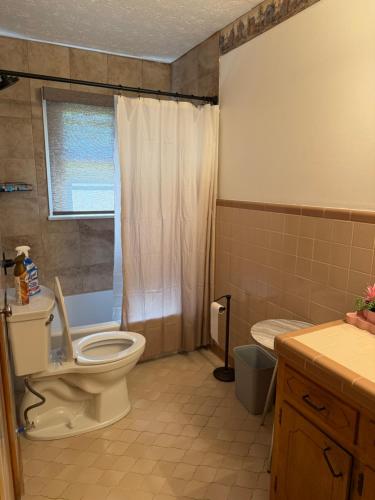 a bathroom with a toilet and a shower and a sink at Diamond Retreat in Sweeden