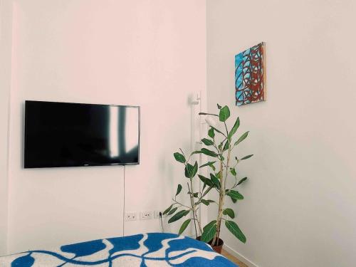 Sunny loft in the heart of Testaccio