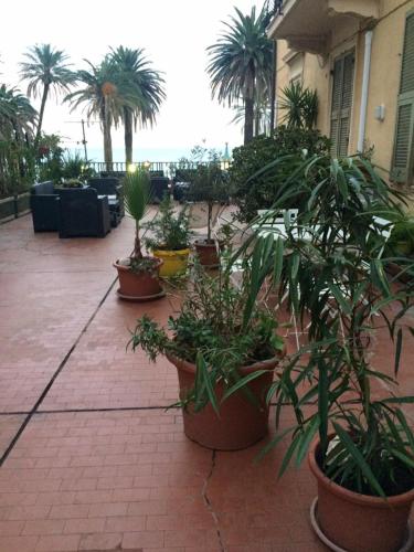 Albergo Villagrandeにある庭
