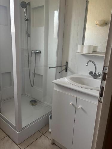 a white bathroom with a shower and a sink at MAISON Au LAC DU DER '' LES COCCINELLES 41 '' in Giffaumont-Champaubert