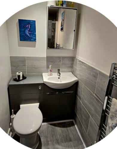 a bathroom with a white toilet and a sink at The Piggery - Corfe Mullen in Corfe Mullen
