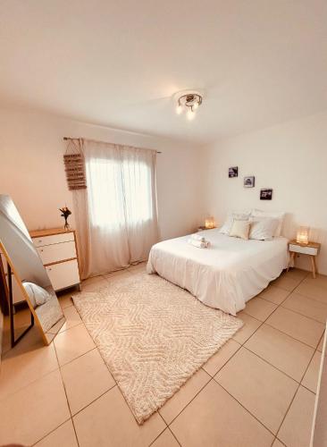 Grand appartement 3 chambres, 7 à 9 personnes, a 300M de la plage