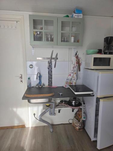 a small kitchen with a sink and a microwave at Alvaret Solhyddan in Köpingsvik