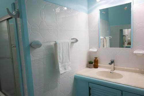 a bathroom with a sink and a mirror at Villa Blue Nights in Saint James