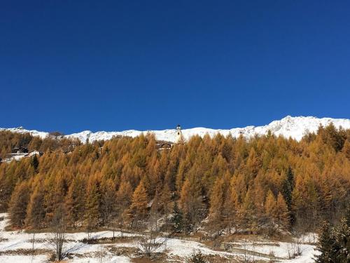a cross on top of a hill with trees at R.T.A. Hotel Monte Rosa in Champoluc