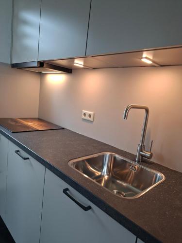 a kitchen with a stainless steel sink and cabinets at Augustinushof 13 in Vrouwenpolder