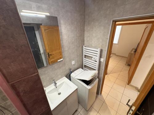 a bathroom with a sink and a toilet and a mirror at Le Mercoyrol in Cruas