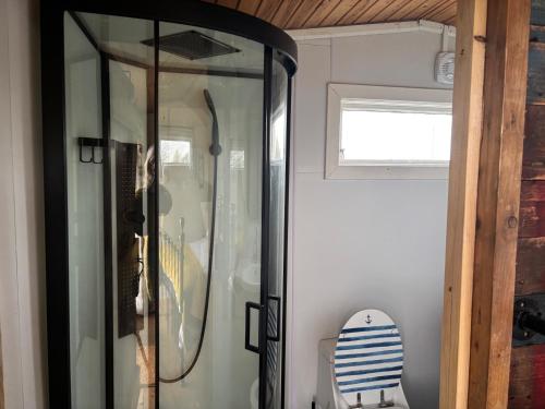 a glass shower in a room with a surfboard in it at Swedish Rustic Cabin perfect for bird watching in Emsworth