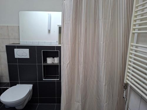a black and white bathroom with a toilet and a shower at Zonneoord in Ede