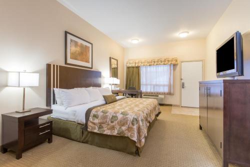 a hotel room with a bed and a flat screen tv at Canalta Wainwright in Wainwright