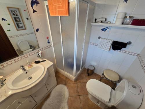 a bathroom with a shower and a toilet and a sink at Casa da Minha Avó in São Pedro de Solis