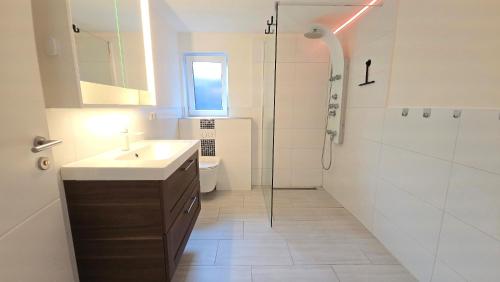 a bathroom with a sink and a shower and a toilet at Ferienwohnung "Ostseebrise" in Wendtorf in Wendtorf