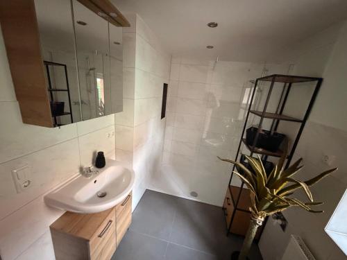 a bathroom with a sink and a mirror at Ferienwohnung Cookie in Elxleben