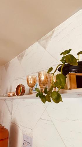 a shelf with bowls and a plant on it at Bossa Nova Home in Barra dos Coqueiros