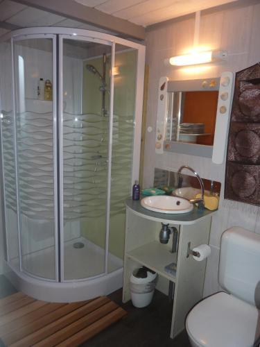 a bathroom with a shower and a sink at Chalet Zen dans les landes in Castets