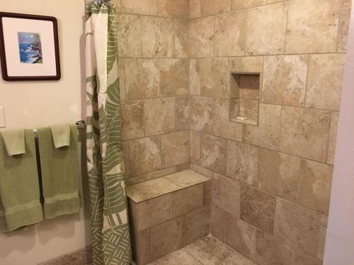 a bathroom with a shower with a stone shower at Unit 11 Beautiful Ocean View in Pahala