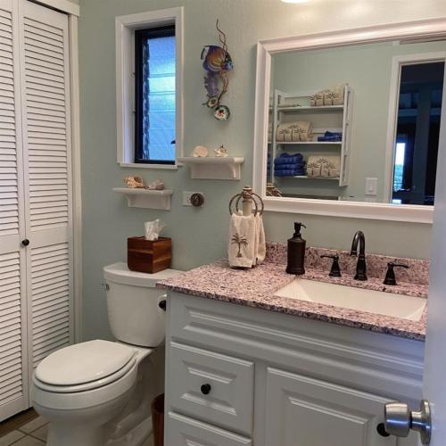 a bathroom with a toilet and a sink and a mirror at Unit 18 Relaxing Oceanview Studio in Pahala