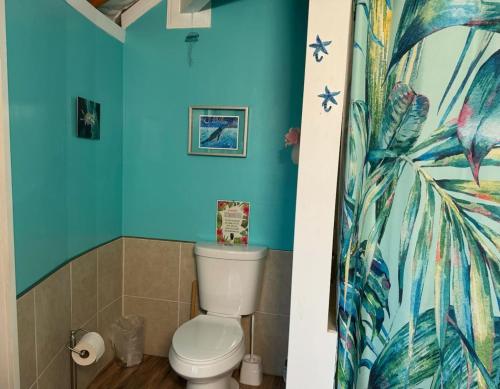 a bathroom with a toilet and a blue wall at Yurt BenTiki in Naalehu