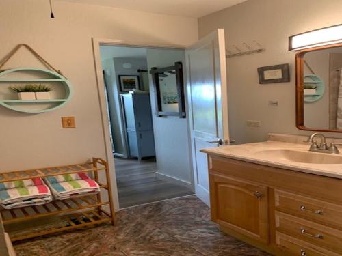 a bathroom with a sink and a mirror at 41 Turtle Hut in Pahala