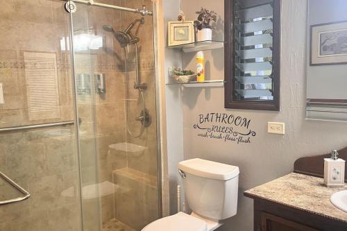 a bathroom with a shower with a toilet and a sink at 43 Studio Queen Bed in Pahala