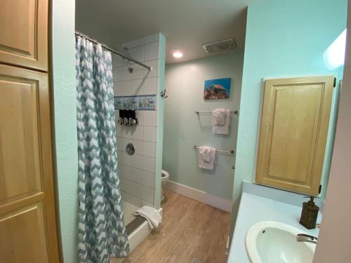 a bathroom with a sink and a toilet and a shower at 71 Dramatic Ocean and Lava in Pahala
