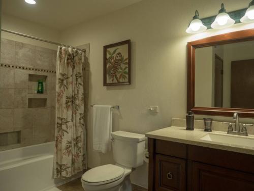 a bathroom with a toilet and a sink and a mirror at 54 Old Hawaii Charm Condo in Pahala