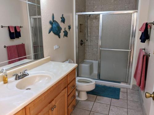 a bathroom with a sink and a shower and a toilet at 56 One Bedroom One Bath with Ocean Views in Pahala