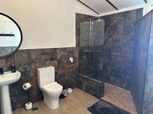 a bathroom with a toilet and a shower at Casa Santo Antonio in Pias