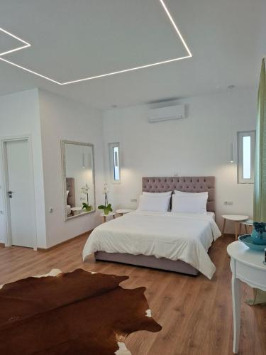 DM Studios Near Athens Airport