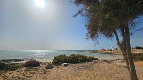 Dar El Hanna
