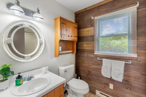 a bathroom with a toilet and a sink and a mirror at Private Mountain Nook with Jacuzzi - Cabin 6 in Fancy Gap