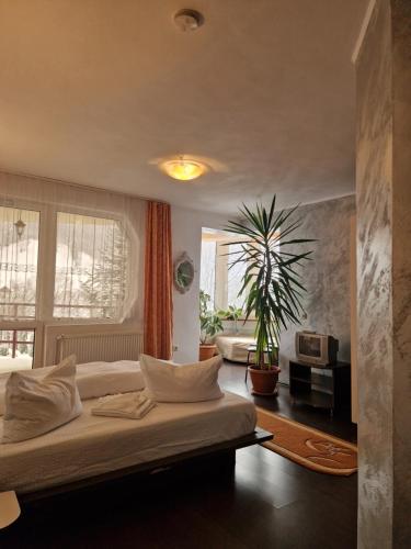 a bedroom with a bed and a plant in it at Casa Nobilă in Bran