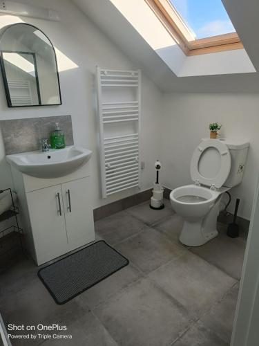 a bathroom with a toilet and a sink and a mirror at Drumquin Accommodation in Ennis