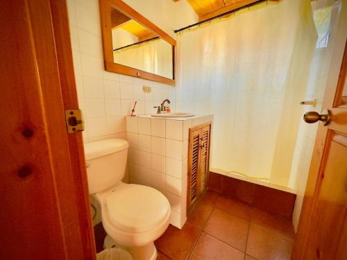 a small bathroom with a toilet and a sink at Hostal Dulces Sueños in Panajachel
