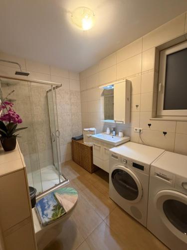 a bathroom with a shower and a washing machine at Ferienwohnung in Neudenau