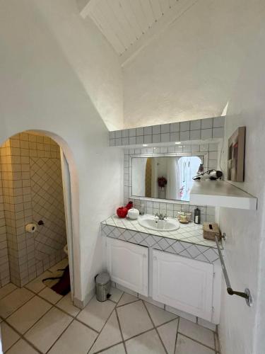 a bathroom with a sink and a mirror at Villa Joëlle in Anse Marcel 
